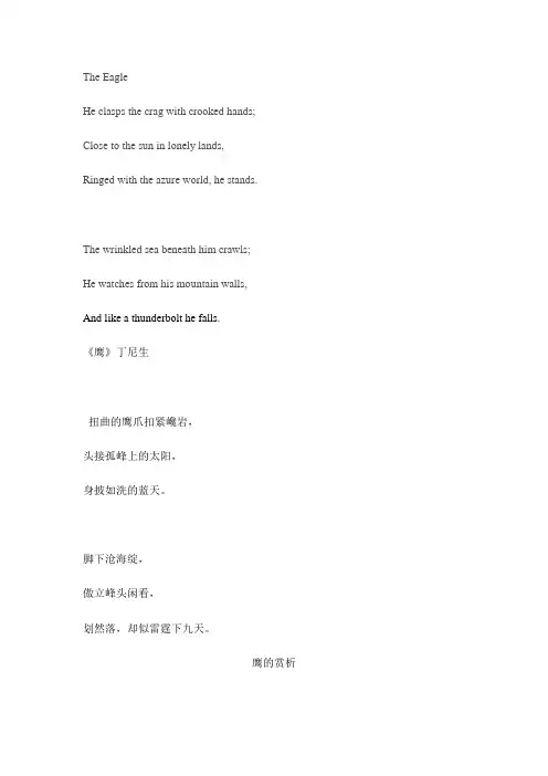 丁尼生 鹰的资料
