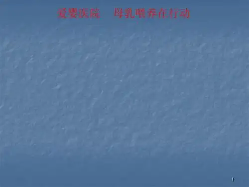 母乳喂养ppt课件