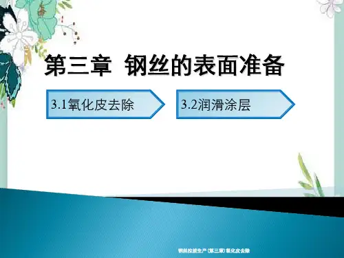 钢丝拉拔生产(第三章)氧化皮去除