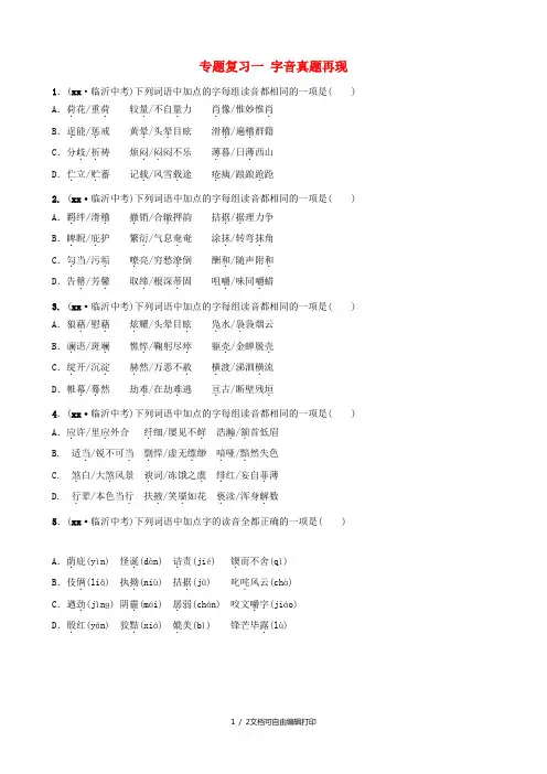 山东省临沂市2019年中考语文专题复习一字音真题再现