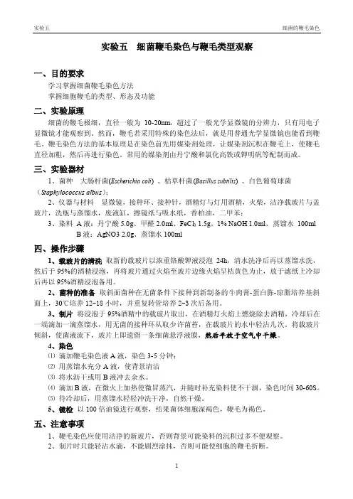 实验五细菌鞭毛染色与鞭毛类型观察