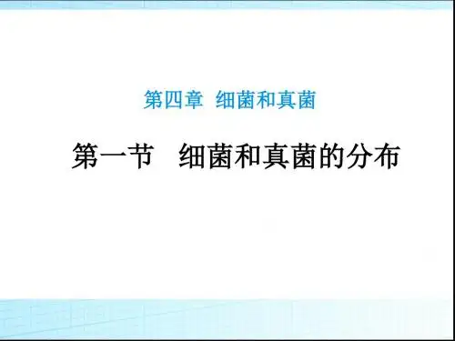 人教版八年级上册生物  5.4.1 细菌和真菌的分布 课件   (共26张PPT)