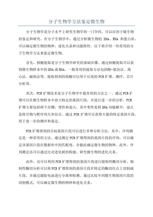 分子生物学方法鉴定微生物