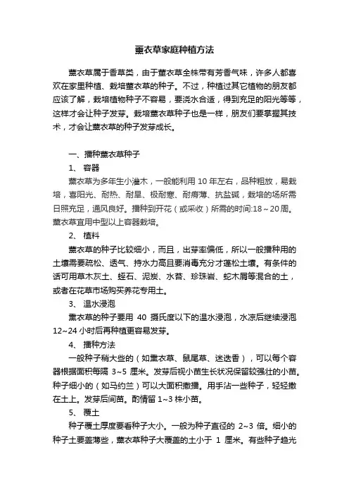 薰衣草家庭种植方法