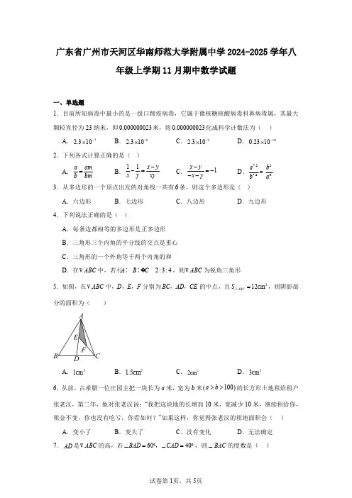 广东省广州市天河区华南师范大学附属中学2024-2025学年八年级上学期11月期中数学试题