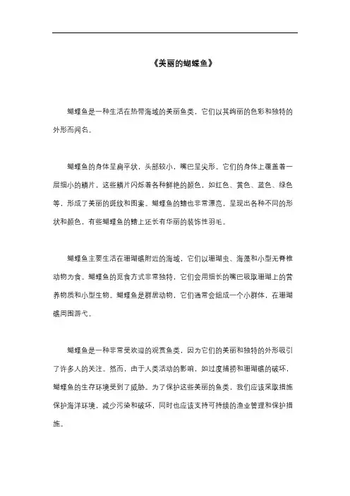 描写《蝴蝶鱼》的800字作文