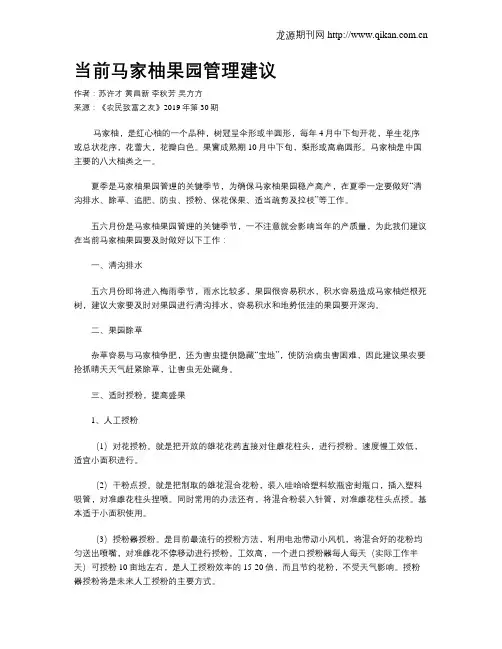 当前马家柚果园管理建议