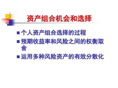 金融学课件：资产组合机会和选择