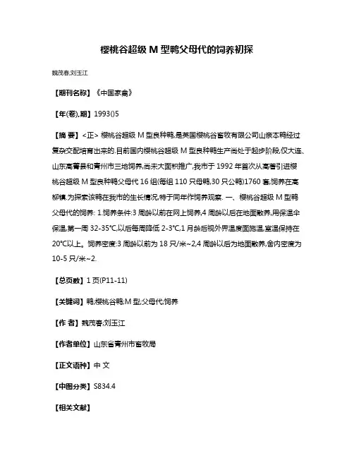 樱桃谷超级M型鸭父母代的饲养初探