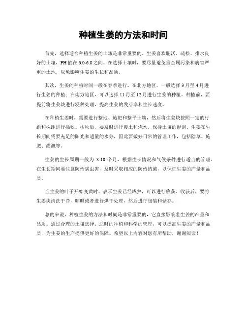种植生姜的方法和时间