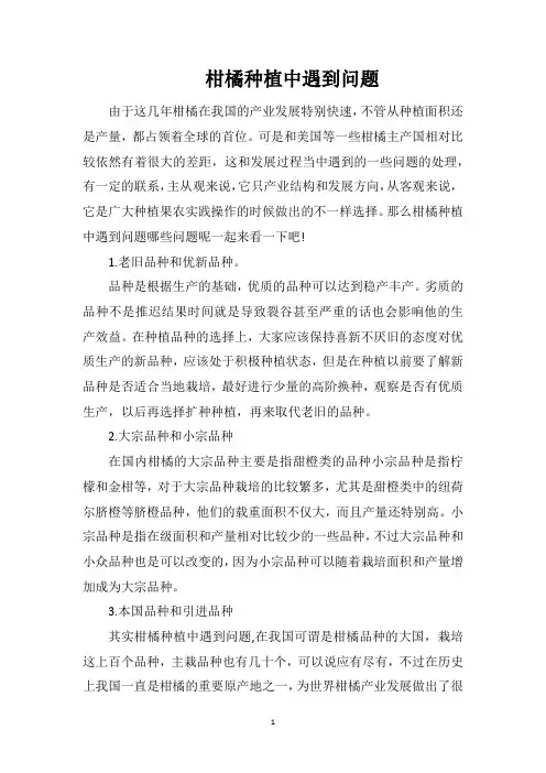 柑橘种植中遇到问题