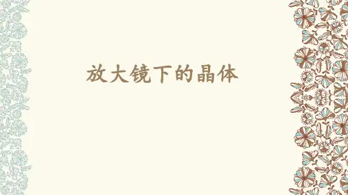 科学课件《放大镜下的晶体》精品PPT课件3