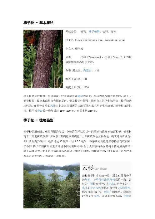 乔木植物名录
