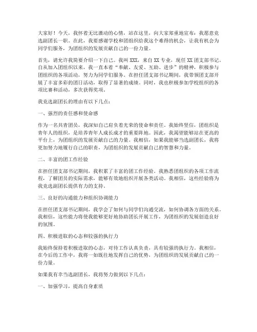 竞选副团长发言稿