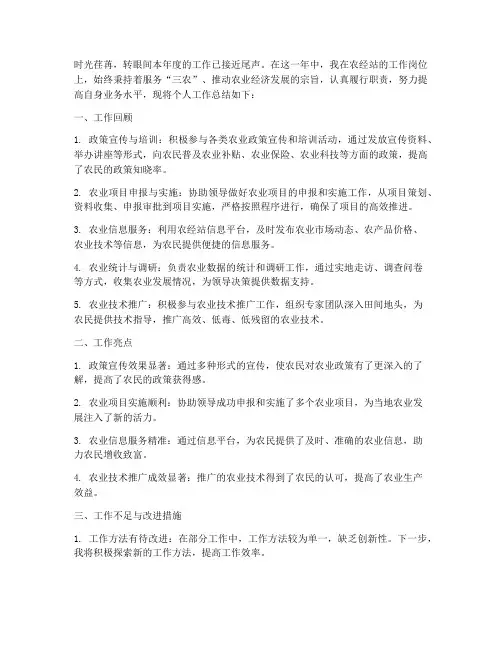 农经站个人工作总结