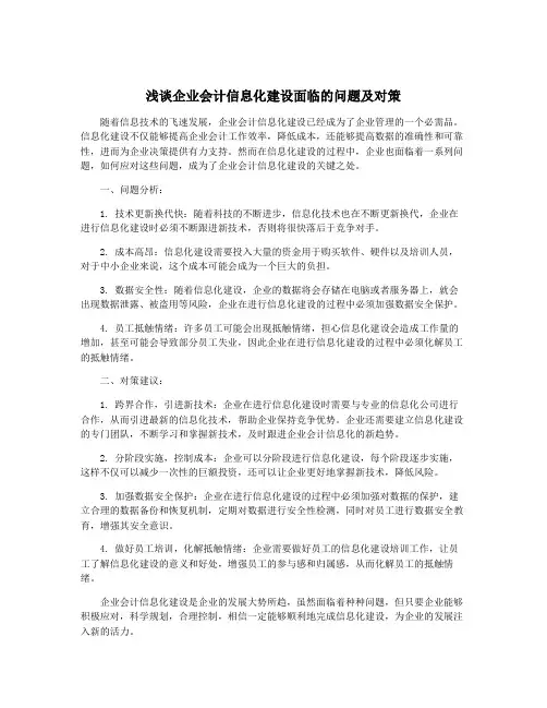浅谈企业会计信息化建设面临的问题及对策