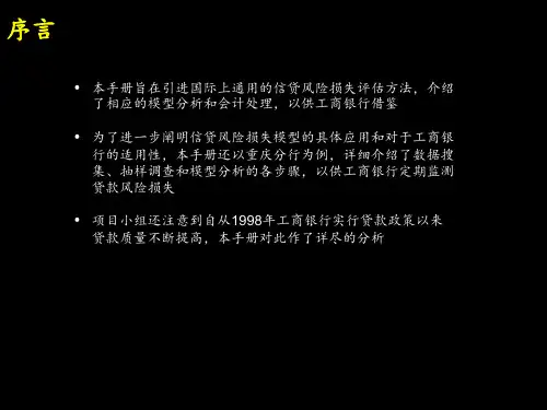 中国工商银行信贷风险评估手册内部使用精