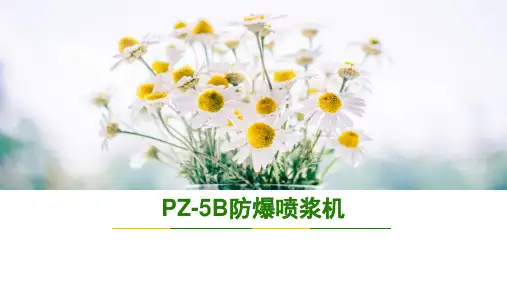 PC5I转子式喷浆机技术参数