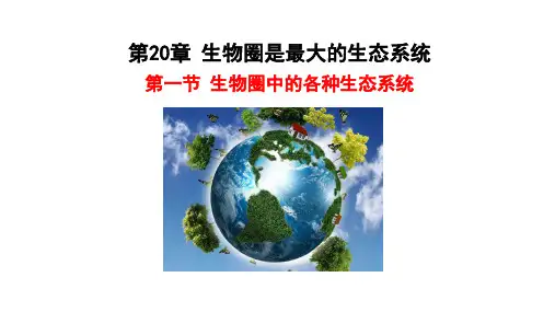 20.1++生物圈中的各种生态系统++课件-2023-2024学年苏教版生物八年级上册