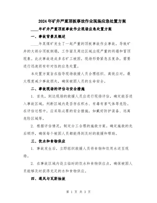 2024年矿井严重顶板事故作业现场应急处置方案