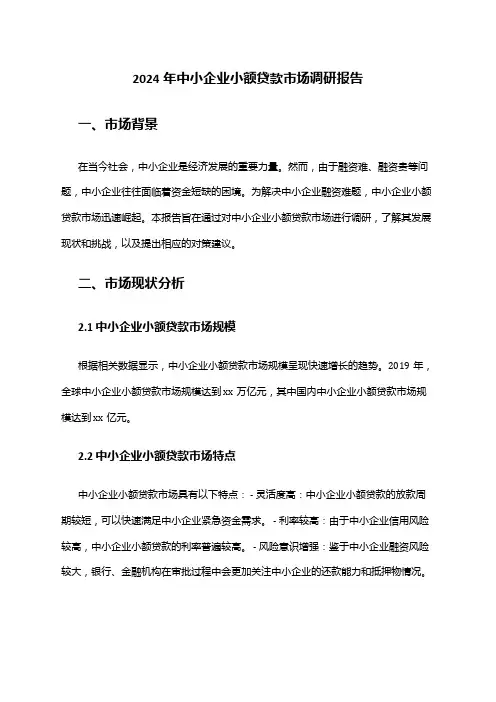 2024年中小企业小额贷款市场调研报告