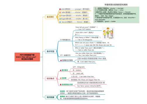 人教版PEP六年级英语下册必考知识点