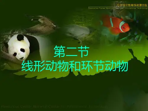 人教版八上生物课件五单元第一章第二节线形动物
