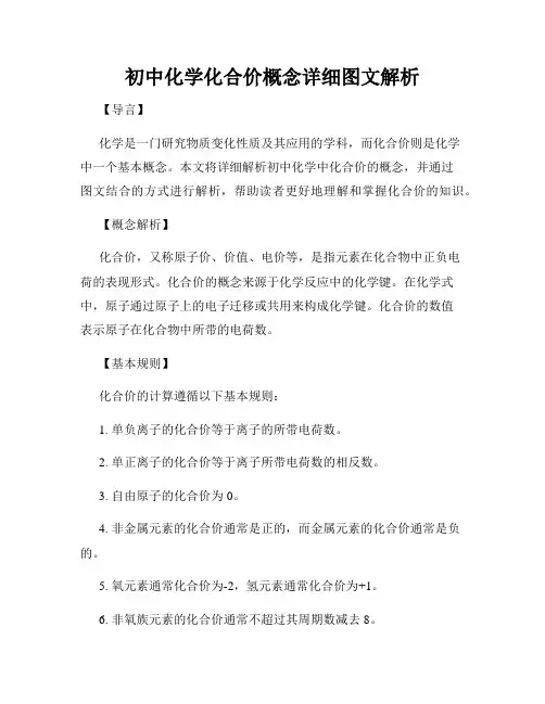 初中化学化合价概念详细图文解析