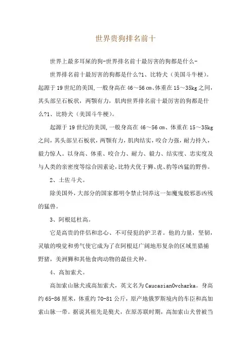 世界贵狗排名前十
