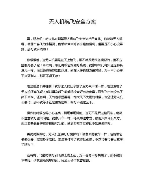 无人机航飞安全方案