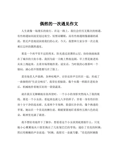 偶然的一次遇见作文