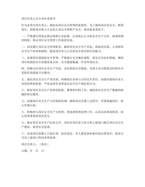 项目负责人安全责任承诺书