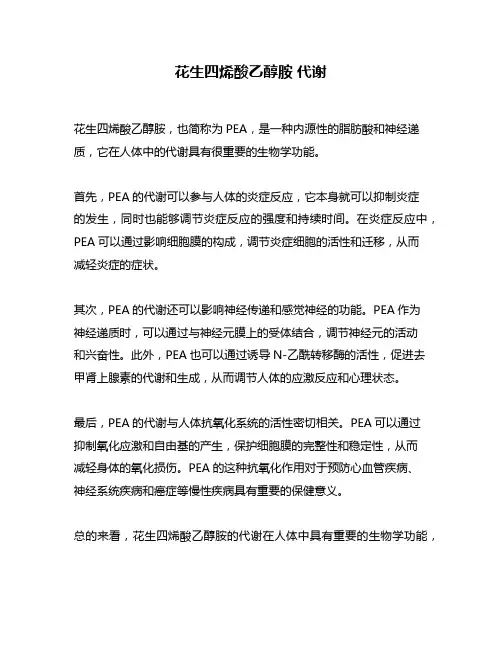 花生四烯酸乙醇胺 代谢