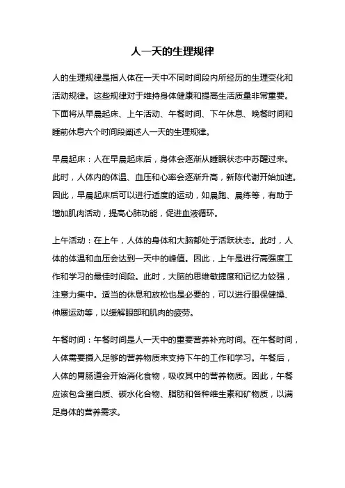 人一天的生理规律