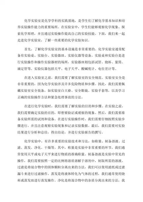 河北省沧州市献县垒头中学2024年中考化学第二轮知识点复习走进化学实验室