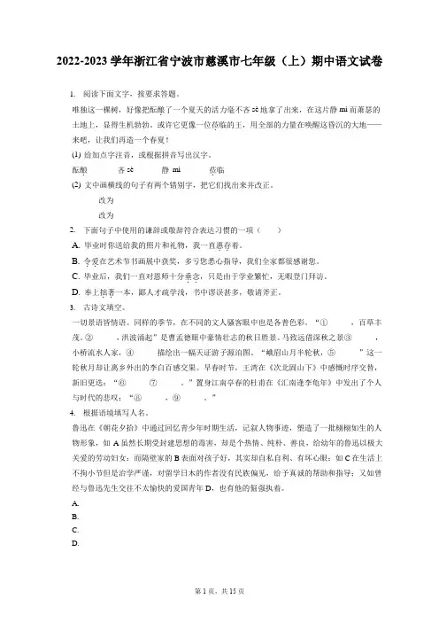 2022-2023学年浙江省宁波市慈溪市七年级(上)期中语文试卷(含答案解析)