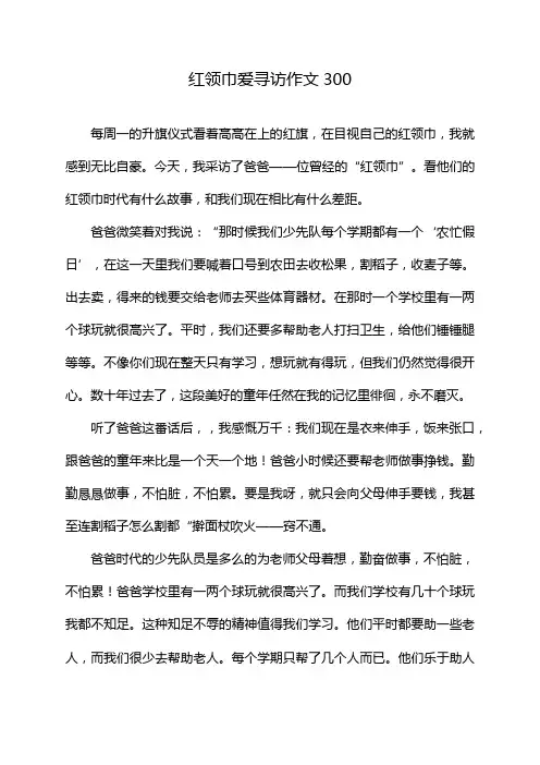红领巾爱寻访作文300