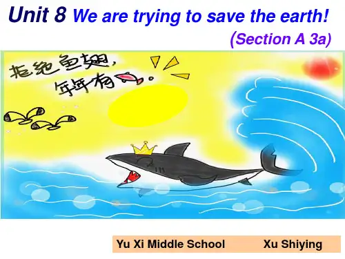 鲁教版英语(五四制)九年级_Unit8_SectionA(3a-3b)优质课课件