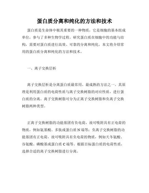 蛋白质分离和纯化的方法和技术