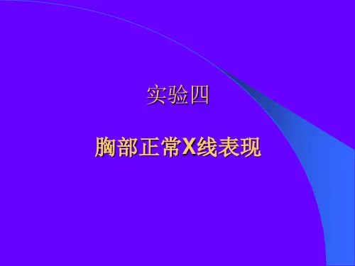 胸部正常X线表现ppt课件