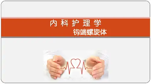 钩端螺旋体