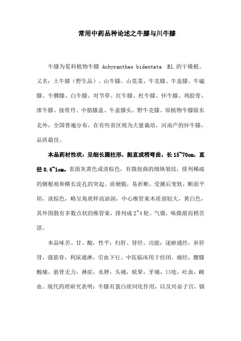 常用中药品种论述之牛膝与川牛膝
