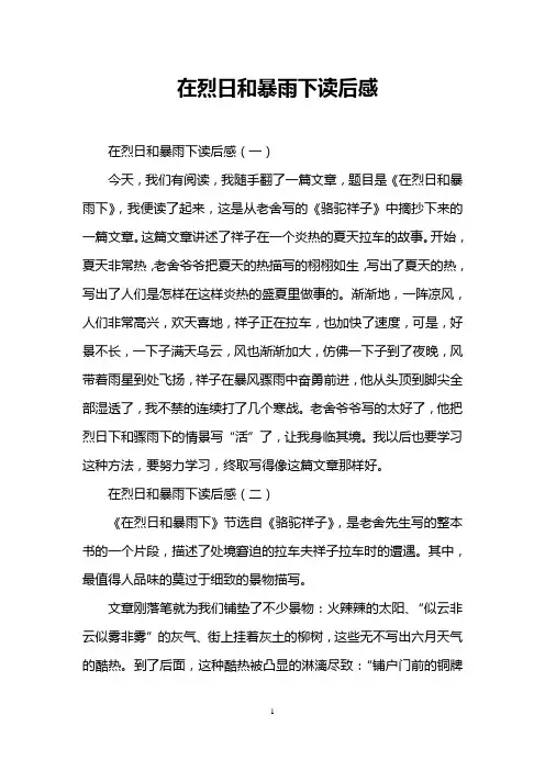 在烈日和暴雨下读后感