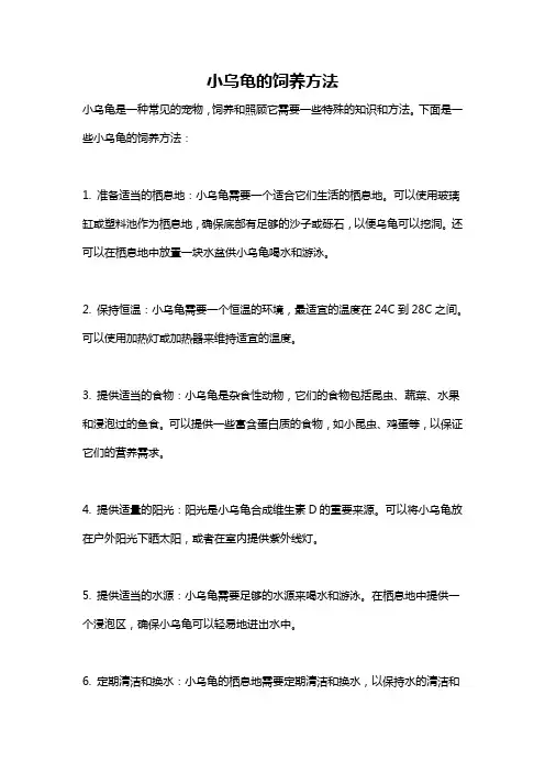 小乌龟的饲养方法