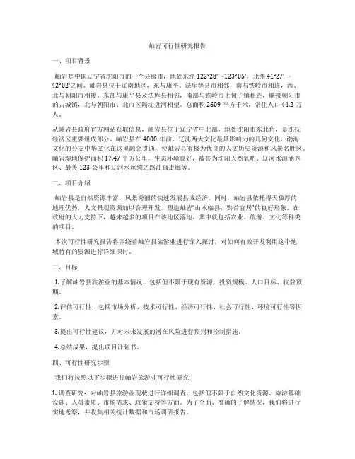岫岩可行性研究报告