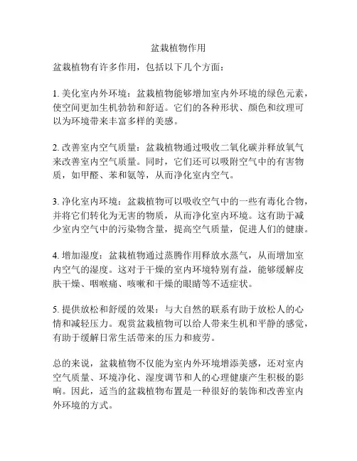 盆栽植物作用