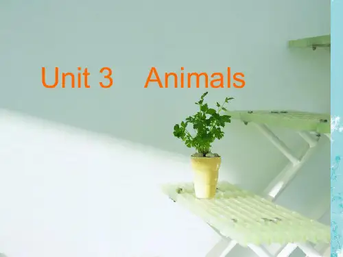 英语四年级下join版Unit3animals课件