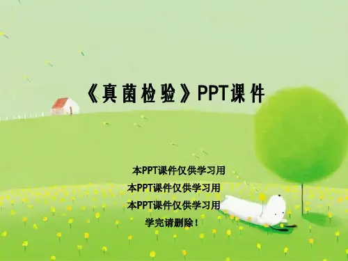 《真菌检验》PPT课件