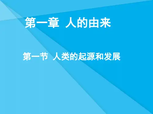 人类的起源和发展ppt34 人教版优秀课件