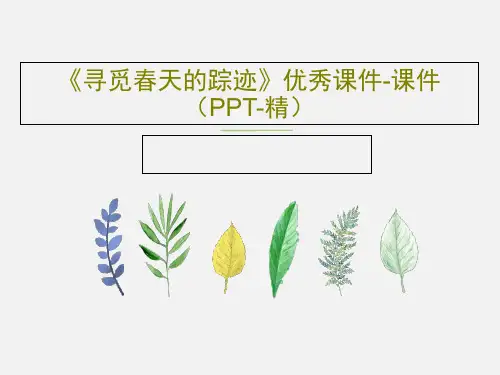 《寻觅春天的踪迹》优秀课件-课件(PPT-精)79页PPT